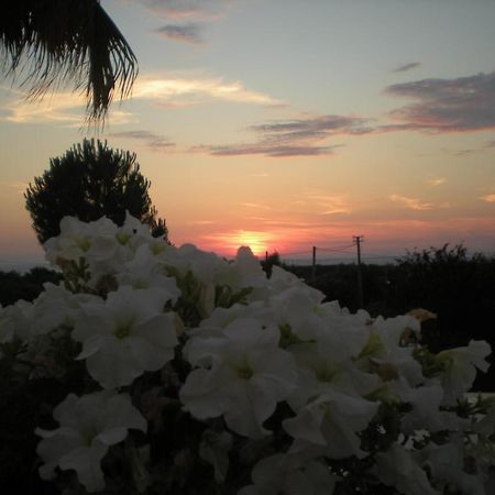 B&B Villa Colfiorito Gallipoli Zewnętrze zdjęcie
